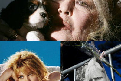 Adieu à la Madrague : L’émotion poignante de Saint-Tropez pour le dernier voyage de Brigitte Bardot