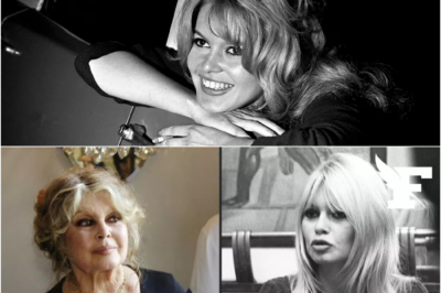 EN DIRECT – Mort de Brigitte Bardot : «une légende du siècle», «une icône française absolue», «ardente patriote»…Les hommages à la star mondiale se multiplient
