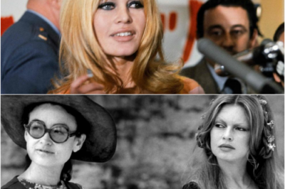 Brigitte Bardot : « nous pleurons une légende du siècle »… les réactions à la mort de l’icône du cinéma et défenseure des animaux, suivez notre direct