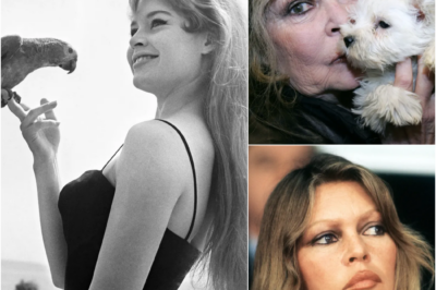DIRECT. Mort de Brigitte Bardot: Line Renaud salue sa “sœur de combat. Elle pour la défense des animaux, moi contre le Sida”