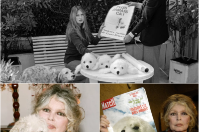 Adieu BB : Brigitte Bardot, la légende immortelle qui a défié son époque, s’est éteinte à 91 ans