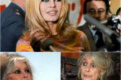 Le mythe s’éteint : Brigitte Bardot nous a quittés à 91 ans, adieu à l’éternelle rebelle qui a marqué la France