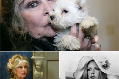 “J’ai donné ma jeunesse aux hommes, je donne ma sagesse aux animaux”: la cause animale, combat d’une vie pour Brigitte Bardot