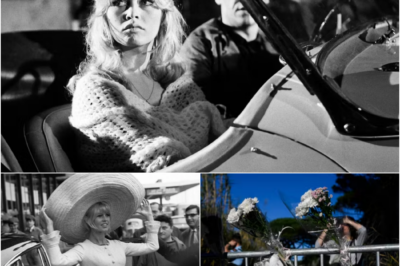 EN DIRECT, Brigitte Bardot est morte : les hommages affluent pour saluer une icône de la culture française