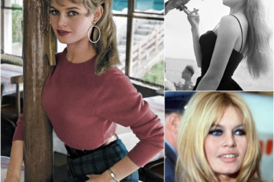 EN DIRECT – Mort de Brigitte Bardot : Line Renaud salue sa “sœur de combat”