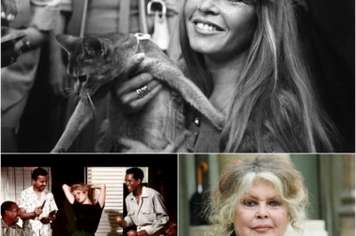 Mort de Brigitte Bardot : “De toute évidence, le mythe BB ne pourra pas disparaître”