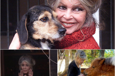 Où Brigitte Bardot sera t-elle enterrée ? Bien avant sa mort, sa décision était prise