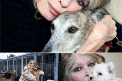 Brigitte Bardot, figure mondiale du cinéma et de la lutte pour la défense des animaux, est morte à l’âge de 91 ans