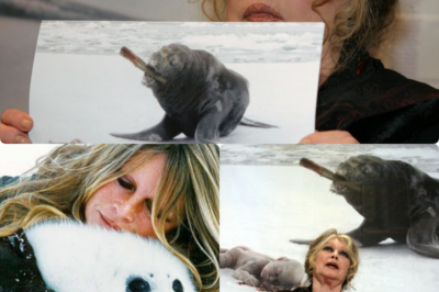 ✍️ De Dieu Créa la Femme à la Dame aux Phoques : Le Dernier Soupir