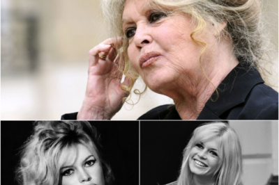 “Marine Le Pen, je l’aime beaucoup” : Brigitte Bardot, des décennies de proximité avec l’extrême droite