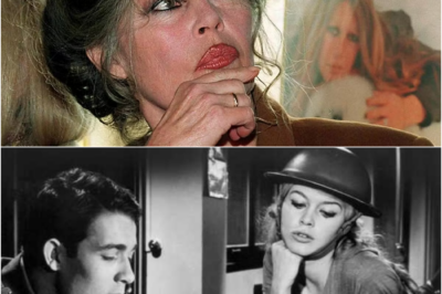 Brigitte Bardot en 1996 : « Je ne donne pas tellement de coups parce qu’en général les hommes ont le dessus » – Retour sur des confessions explosives