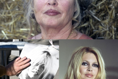 Adieu à Brigitte Bardot : La fin d’une légende et les secrets de ses derniers jours