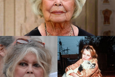 « Une vie de larmes derrière les paillettes » : L’effroyable solitude et les secrets tragiques de Brigitte Bardot révélés