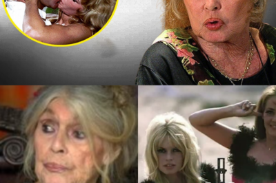 À 90 Ans, La Vérité Éclate : Gloire, Suicides et Maternité Rejetée, le Destin Tragique de Brigitte Bardot