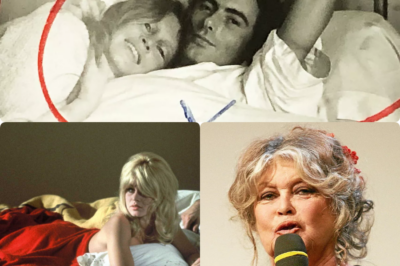 Brigitte Bardot et la Bretagne : L’Histoire Secrète de ses Amours Cachées et de sa Quête d’Absolu loin des Projecteurs