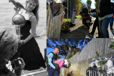 La Madrague en Deuil : L’Ultime Adieu à Brigitte Bardot, ou la Fin d’un Mythe Français sous le Soleil de Saint-Tropez