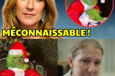 Céline Dion Méconnaissable en Grinch : Le Message Caché Derrière la Vidéo Qui a Bouleversé Noël