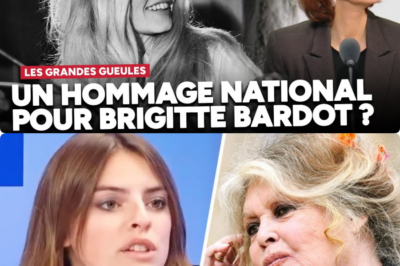 Brigitte Bardot : L’Anomalie Géniale ou Pourquoi le Cinéma Mondial ne Retrouvera Jamais une Étoile de cette Envergure
