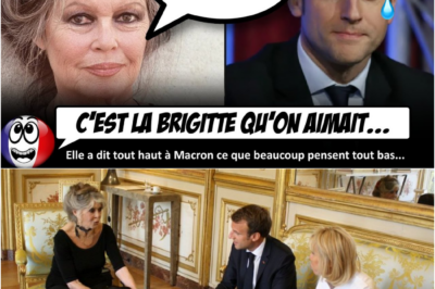 Brigitte Bardot s’éteint à 91 ans : Retour sur ses attaques dévastatrices et son mépris absolu pour Emmanuel Macron