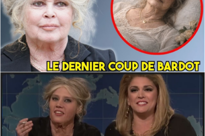 Brigitte Bardot et son ultime cri d alarme : chronique d une icône insoumise face au crépuscule d une France qu elle ne reconnaît plus