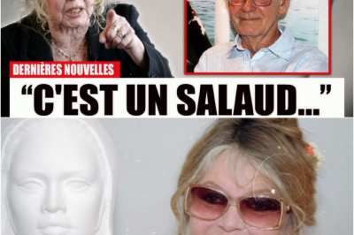 Brigitte Bardot : La vérité poignante sur ses mariages et le prix d’une liberté absolue