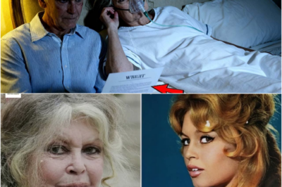 Le testament de Brigitte Bardot : L’ultime fracas d’une icône indomptable face au silence de La Madrague