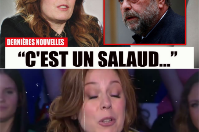 Isabelle Boulay et Éric Dupond-Moretti : La vérité glaciale et bouleversante sur 9 années de silence et la nuit où tout a basculé