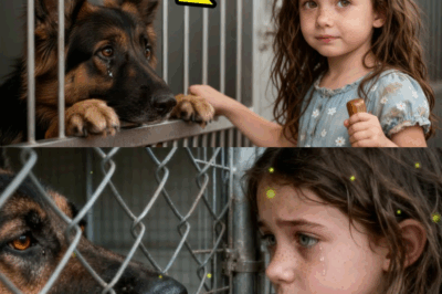 Le chien du refuge se met à pleurer lorsqu’il reconnaît la petite fille sourde devant lui !
