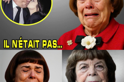 Le Secret d’Avignon Révélé : Mireille Mathieu Brise le Silence sur Jean-Louis, l’Amour d’une Vie Sacrifié sur l’Autel de la Gloire