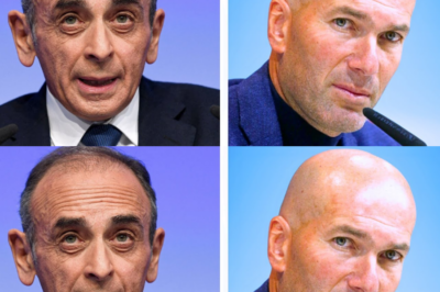 Zemmour Tente D’Humilier Zidane – Ce Qu’Il Lui Répond Devient Historique_d
