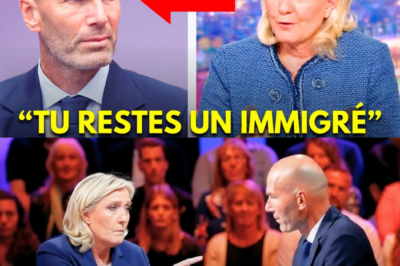 L’Héritage d’un Champion : La Réponse Monumentale de Zinedine Zidane Qui a Redéfini l’Âme Française