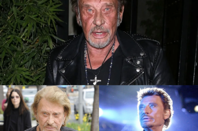 Des cheveux de Johnny Hallyday adjugés à prix record aux enchères, 8 ans après sa mort