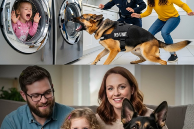 Chien k9 aboie après la machine à laver. Sa découverte sauve une vie et bouleverse toute la famille!_d