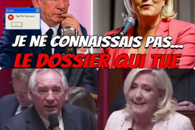 Duel au Sommet à l’Assemblée : Quand le “Scalpel” de Marine Le Pen Laisse François Bayrou et le Gouvernement Sans Voix sur l’Affaire CumCum