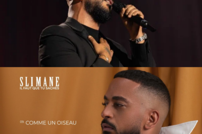 Slimane (2025) : L’Aveu Suicidaire, le Boycott et la Vérité Crue derrière son Album de la Dernière Chance