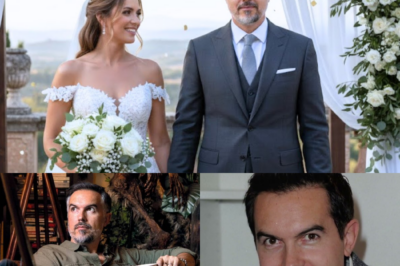 À 49 ans, Maxime Chattam sort de l’ombre : Ses confidences exclusives sur le nouvel amour qui illumine sa vie et inspire sa plume