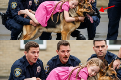 Chien K9 arrive au poste avec fille blessée — sa révélation déclenche un raid fédéral