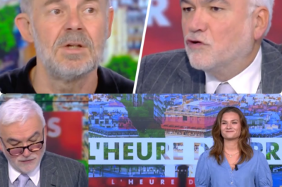 Provocations, dérives judiciaires et silence coupable : Éric Naulleau lève le voile sur les fractures béantes de la France