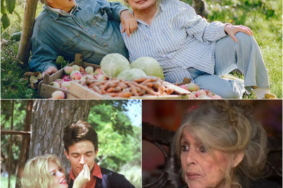 Brigitte Bardot à 90 ans : Le cri du cÅ“ur d’une icône entre regrets, secrets de famille et amours éternels