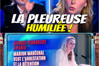 Marion Maréchal humilie Gilles Verdez : Le duel explosif sur la sécurité qui a fait trembler le plateau
