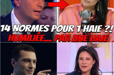 “14 réglementations pour une haie ?!” : Jordan Bardella dénonce l’absurdité administrative et laisse Apolline de Malherbe “sans voix”