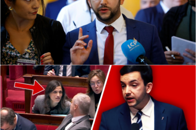 Jean-Philippe Tanguy explose à l’Assemblée : Il démasque “l’arnaque” de l’électricité et l’indécence du gouvernement