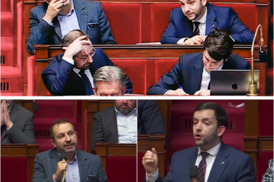 Séisme à l’Assemblée : Tanguy et Chenu démasquent “l’hypocrisie” du gouvernement sur la taxation des pourboires