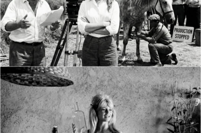 “Ce n’est qu’un animal !” : Quand Brigitte Bardot a stoppé tout un tournage pour sauver un être vivant à bout de force