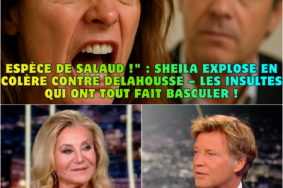 “Espèce de salaud !” : Sheila explose de colère contre Laurent Delahousse en plein direct