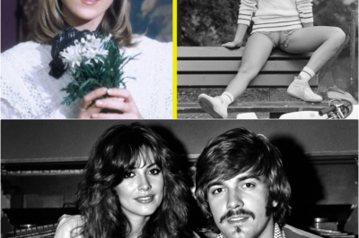 Le chant du cygne et l’abîme de la solitude : La vérité sur la vie pleine de souffrances de Joëlle Mogensen