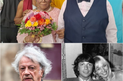 Hervé Vilard : Le Mariage de la Renaissance et les Secrets de son Ultime Amour