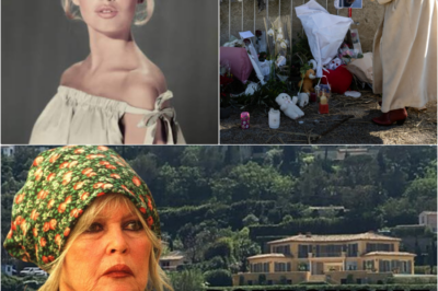 7 Janvier 2026 : L’Adieu Secret à Brigitte Bardot et le Signe du Destin que Personne n’avait Prévu !