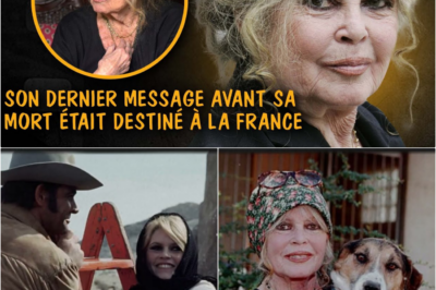 Brigitte Bardot est décédée à 91 ans : Son message final brutal et l’héritage balafré d’une icône