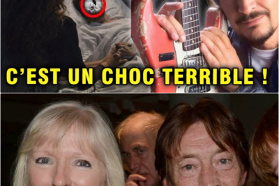 L’ultime voyage de Chris Rea : Des adieux déchirants au son de “Driving Home for Christmas”